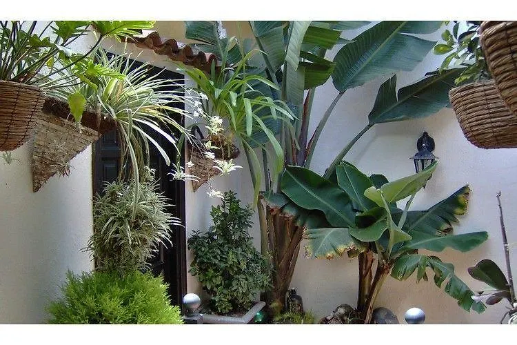 Apartamentos Monasterio De San Antonio - Adults Only Icod De Los Vinos