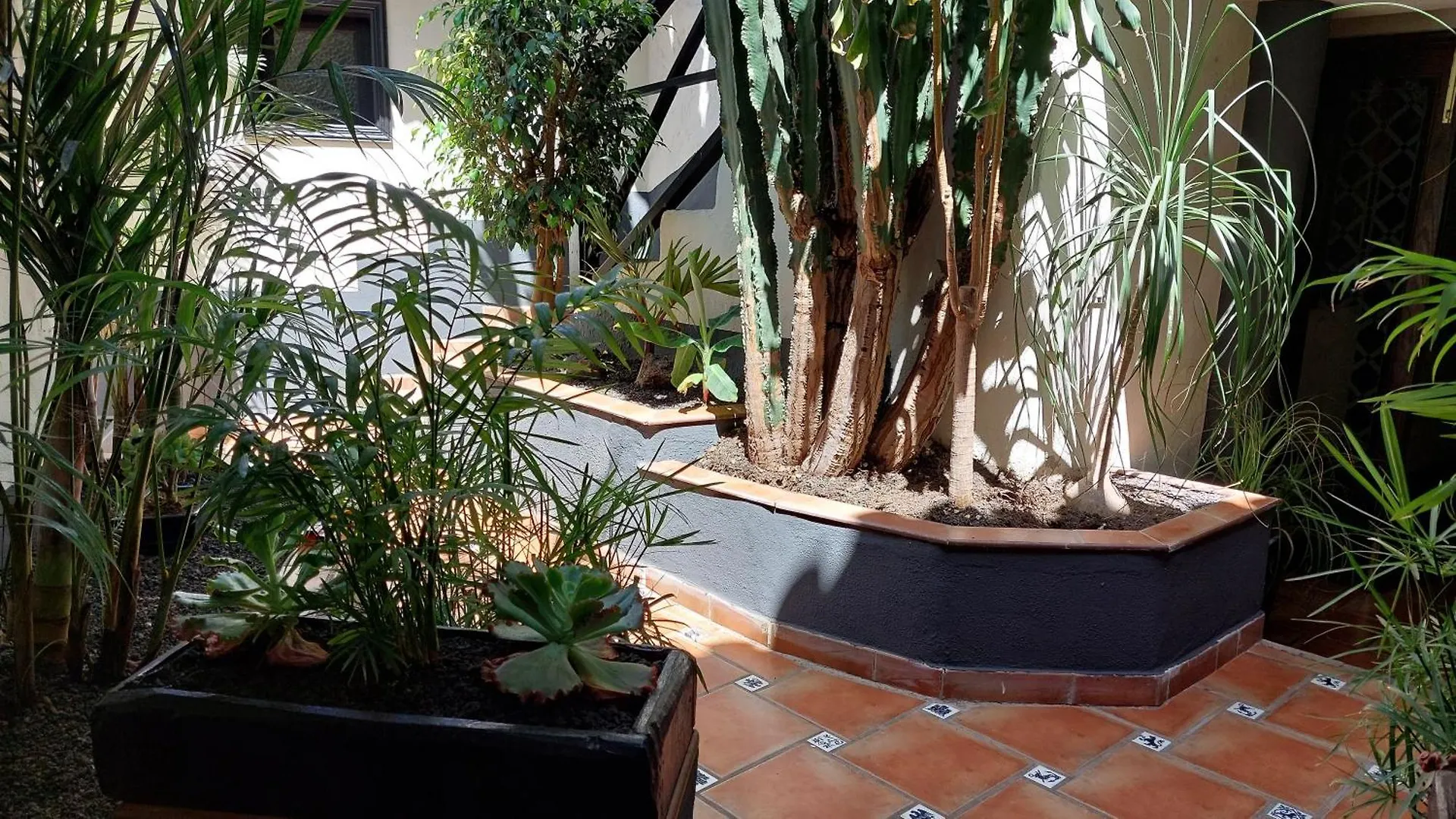 Apartamentos Monasterio De San Antonio - Adults Only Икод-де-лос-Винос Апартаменты
