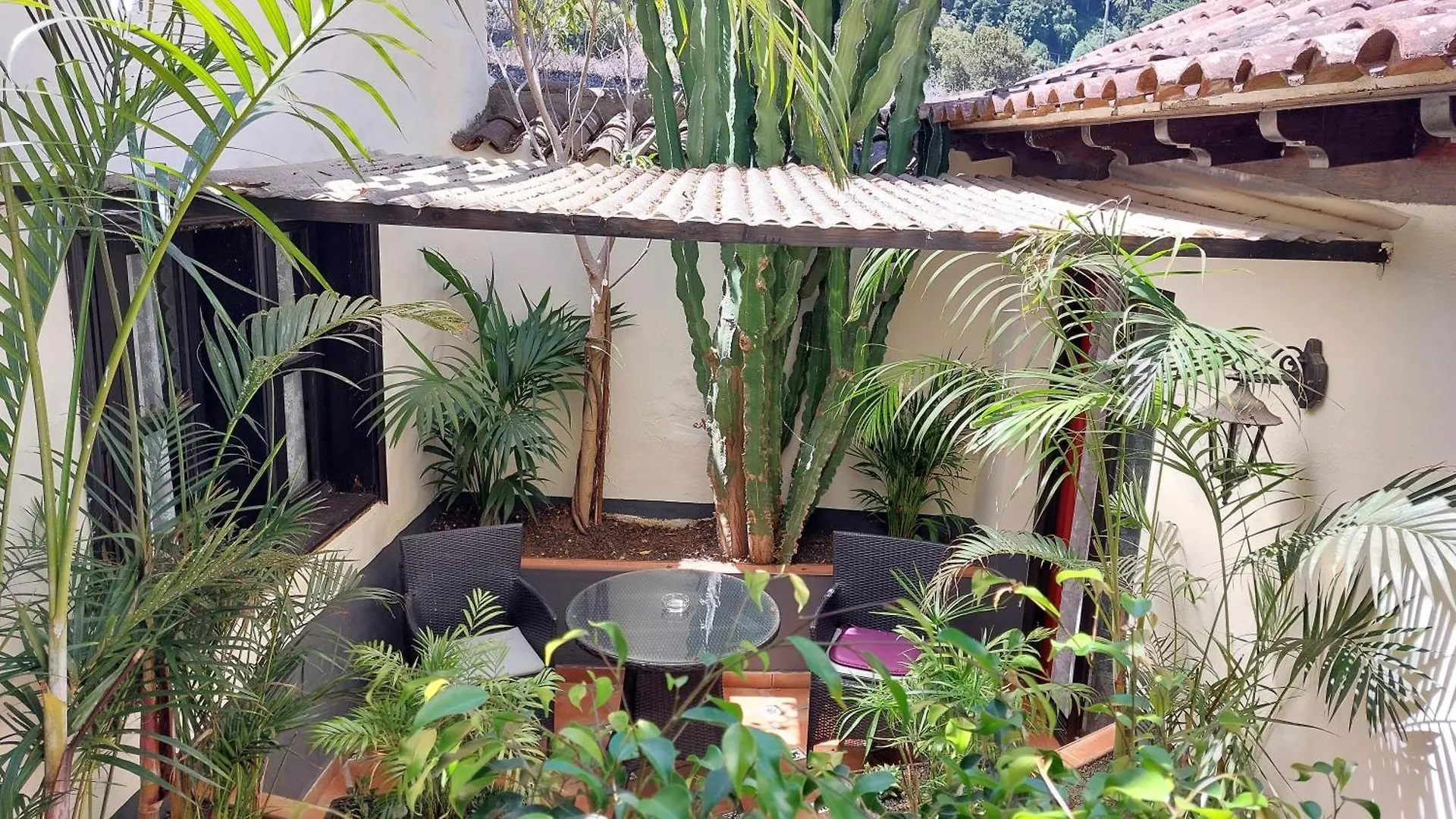 Apartamentos Monasterio De San Antonio - Adults Only Икод-де-лос-Винос 0*,