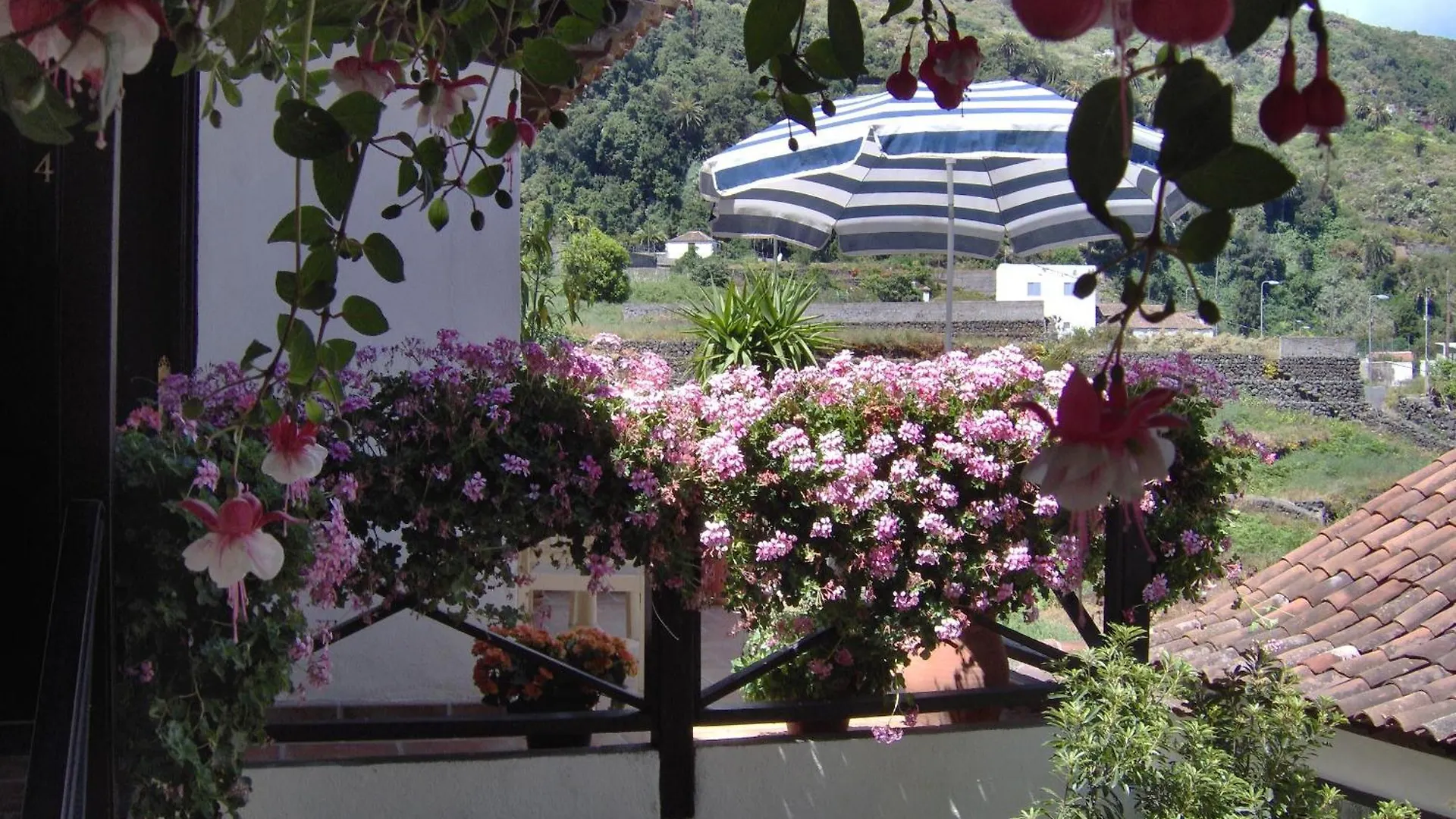 Apartamentos Monasterio De San Antonio - Adults Only Икод-де-лос-Винос Испания