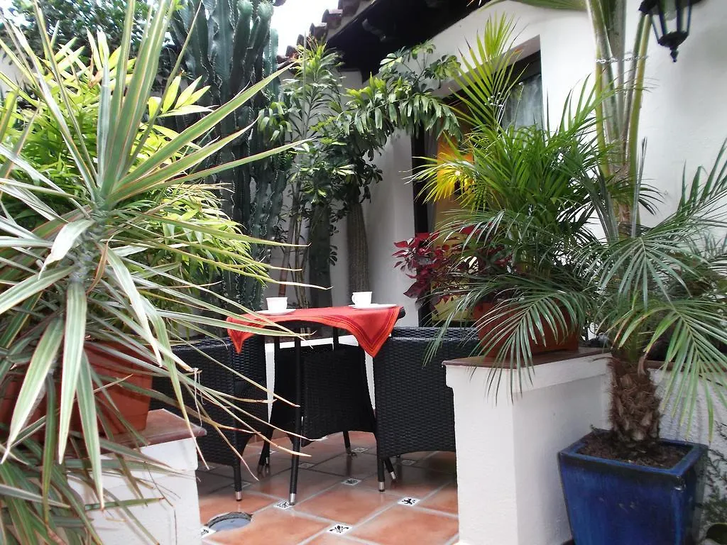 Апартаменты Apartamentos Monasterio De San Antonio - Adults Only Икод-де-лос-Винос